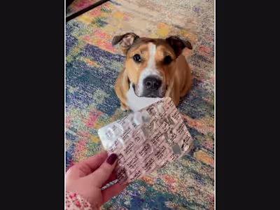 Social Media Campaigns