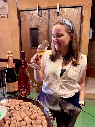 A Travel Guide for the Penedés Wine Region