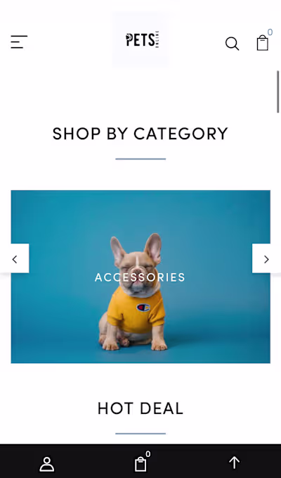 Shopify Store Designer
