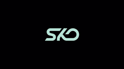 Motion Graphics for SKO Promo