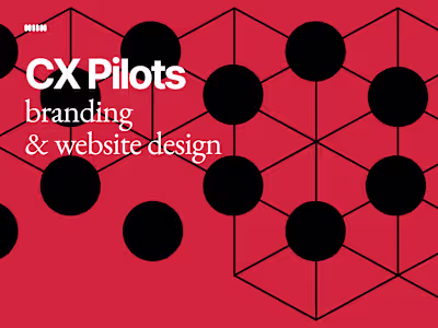 CX Pilots: Multi-Service