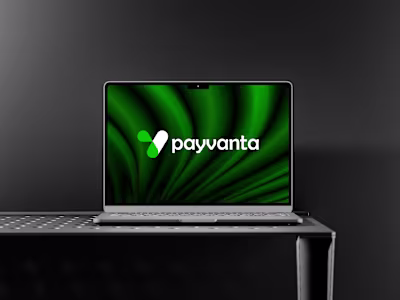 FinTech brand identity design for PAYVANTA