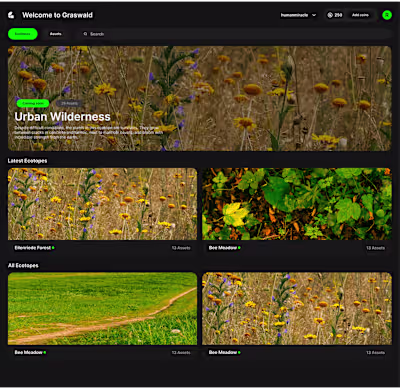 Data-Driven Web App Redesign