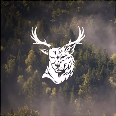 Wild Canning Chronicles Identity