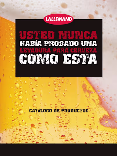 Professional English to Spanish Marketing Translation