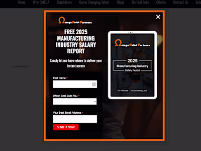 OMEGa Point Partners Website design