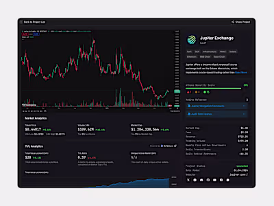 Crypto project technical audit page