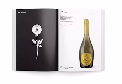 Brochure Design