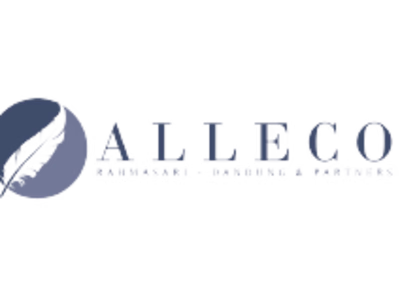 Alleco website writing