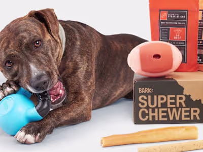 Mock Review Blog Post