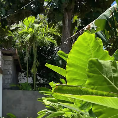 Photo content for a villa