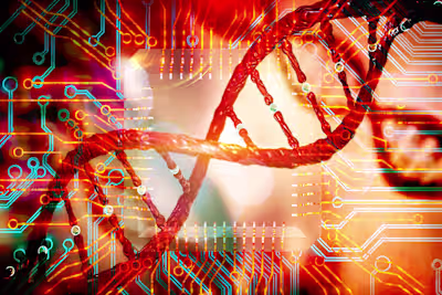 Bioinformatics and DNA