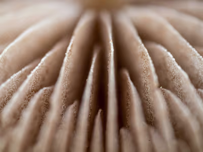 Crafting Authentic Brand Narrative for Business Owner