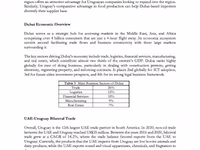 Report on UAE-Uruguay Business Synergies 
