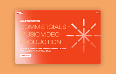 Website Design for VNA Production