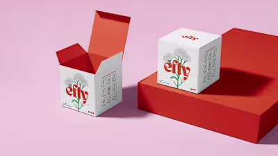 Efty Brand Identity Development