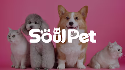 Soulpet - Visual identity