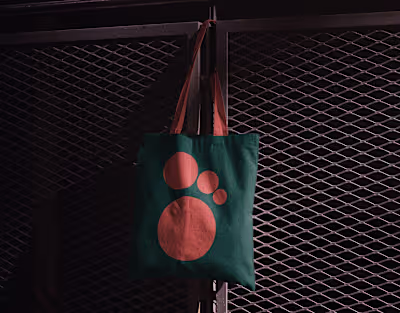 Perfect Foot (Brand Identity)