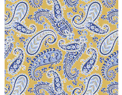 Paisley Design