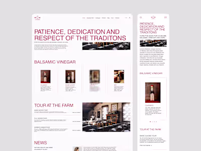 A sophisticated responsive website for