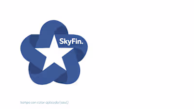 SkyFin