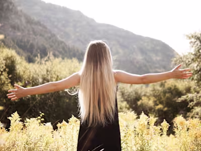 Translation 25 blog posts