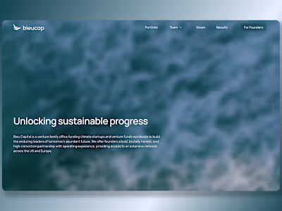 Bleu Capital – Webflow development project