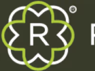 Created a website for Revilo-Automotive
