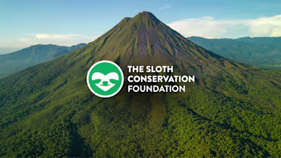 Sloth Conservation Awareness Campaign