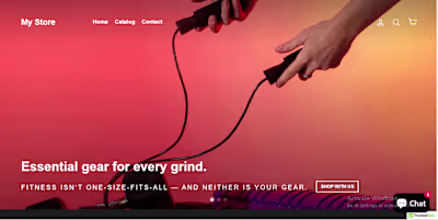 E-commerce Store Setup and Promotion