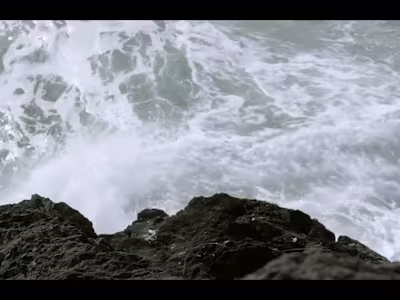 Video recording and edit