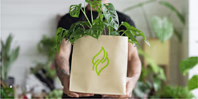 NATURA | Branding & Identity