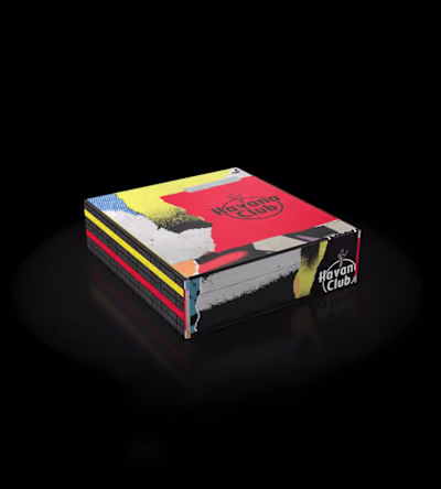 Graphic design development for press kit