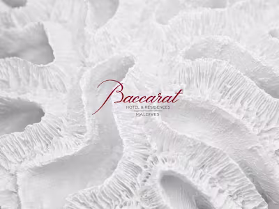 Baccarat Hotels & Residences — Maldives Property