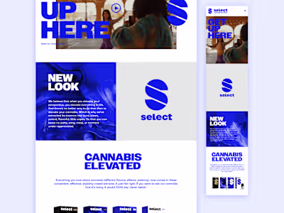UI/UX Design