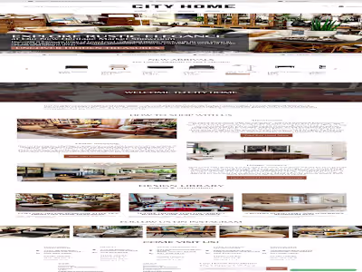 High-ticket shopify dropshipping store design and development