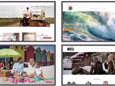 Custom E-commerce Web Stores for Antera