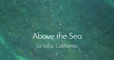Above the Sea - Aerial Videography / Editing