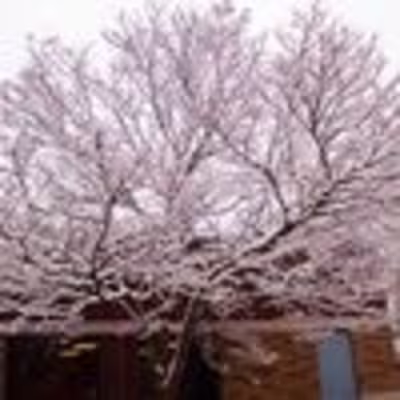 Emmanuella Salami (@kitan_photos) • Instagram photos and videos