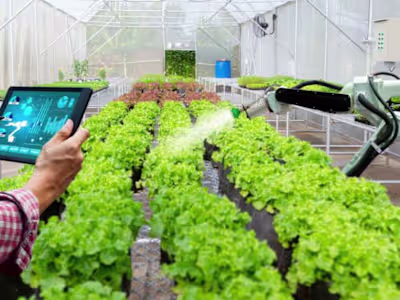 Digital Transformation for a Agritech Startup