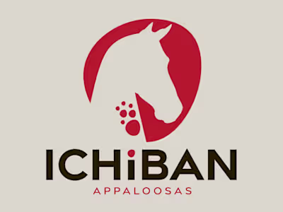 Ichiban Appaloosas | Branding a new company