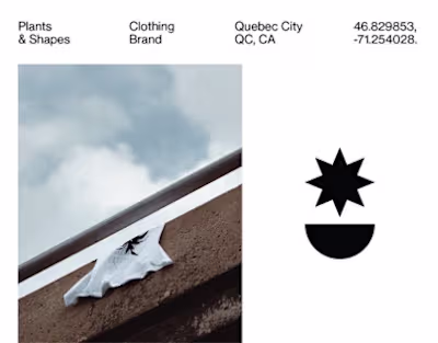 Plants & Shapes → Launch 2019