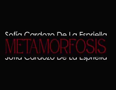 Demo latest projects 2025