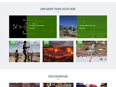 Website Development In Wordpress