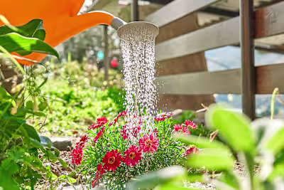 How to Use Rice Water on Plants to Make Your Garden Thrive