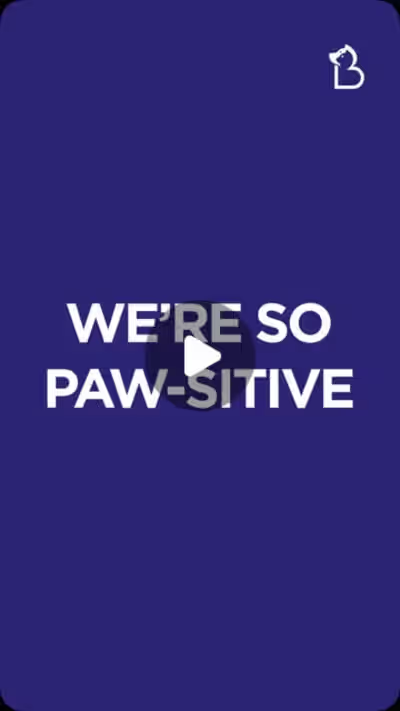 Bookmypet app promotion 