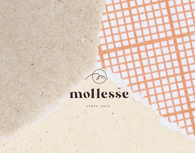 Mollesse — Culture of healthy sleep and comfort