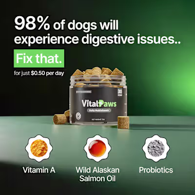 Static Ads | Vital Paws