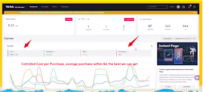 TikTok Ads Management