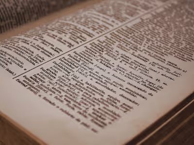 Multilingual Communication Strategy